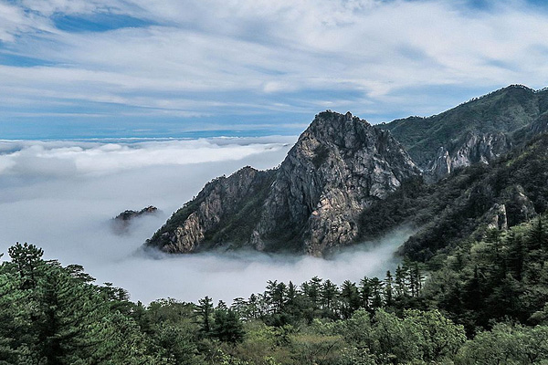 윤슬에서 차량 20분 거리 (약 14km)
설악산은 남한에서 가장 아름다운 산으로 봄에는 철쭉 등의 온갖 꽃과 여름의 맑고 깨끗한 계곡물, 설악제 기간을 전후한 가을 단풍, 눈 덮인 설경 등 사시사철 어느 때나 찾는 이의 감탄을 불러 일으킨다.