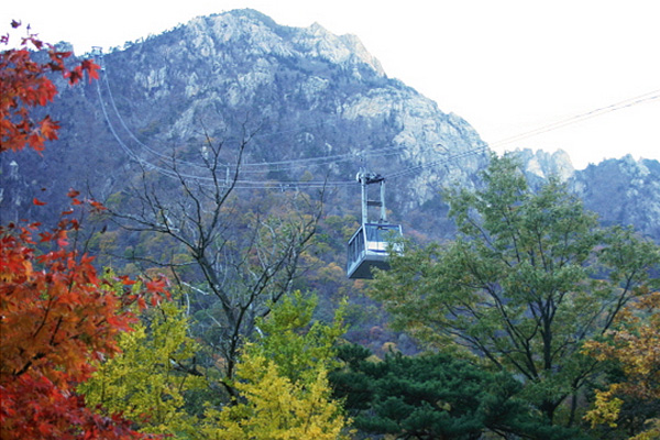 윤슬에서 차량 20분 거리 (약 14km)
속초시 소재 설악산국립공원 소공원내 위치하고 있다. 해발 700m 정상인 권금성 구간을 관광객들이 편안하게 설악산의 풍경을 눈에 담을 수 있도록 케이블카를 왕복 운행하고 있다.